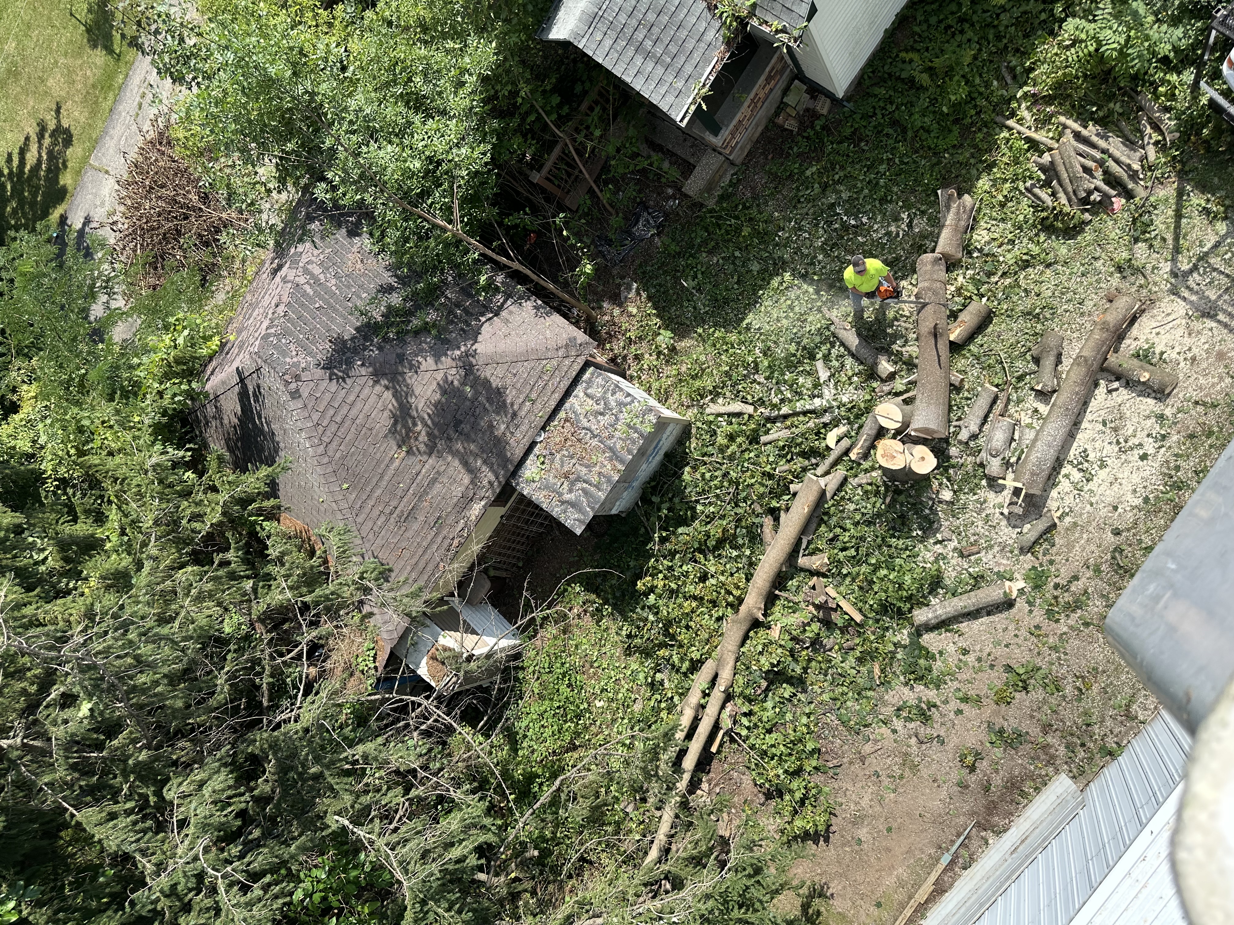 Tree work cleanup from an elevated view