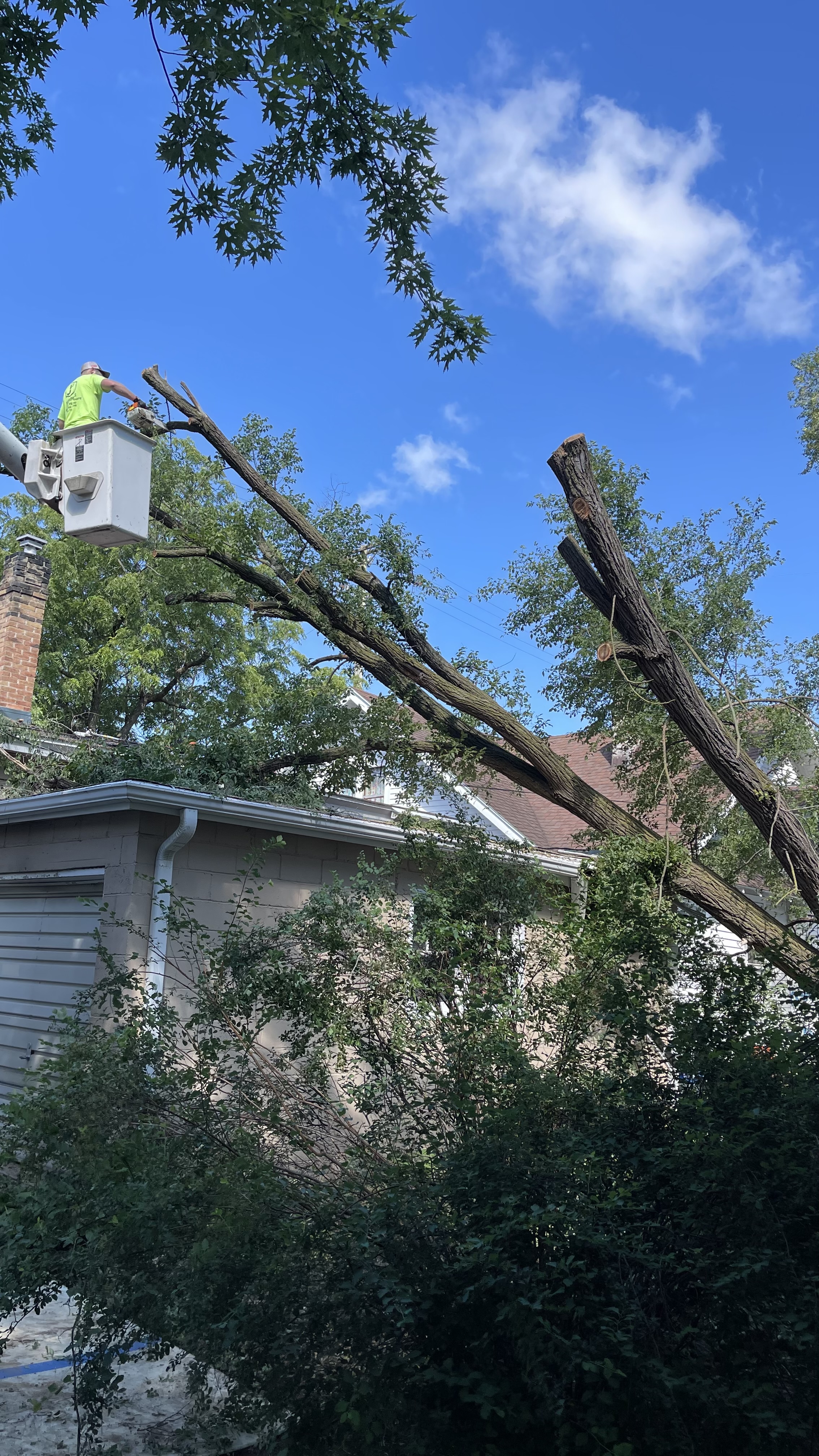Bucket truck performing tree removal beside a house