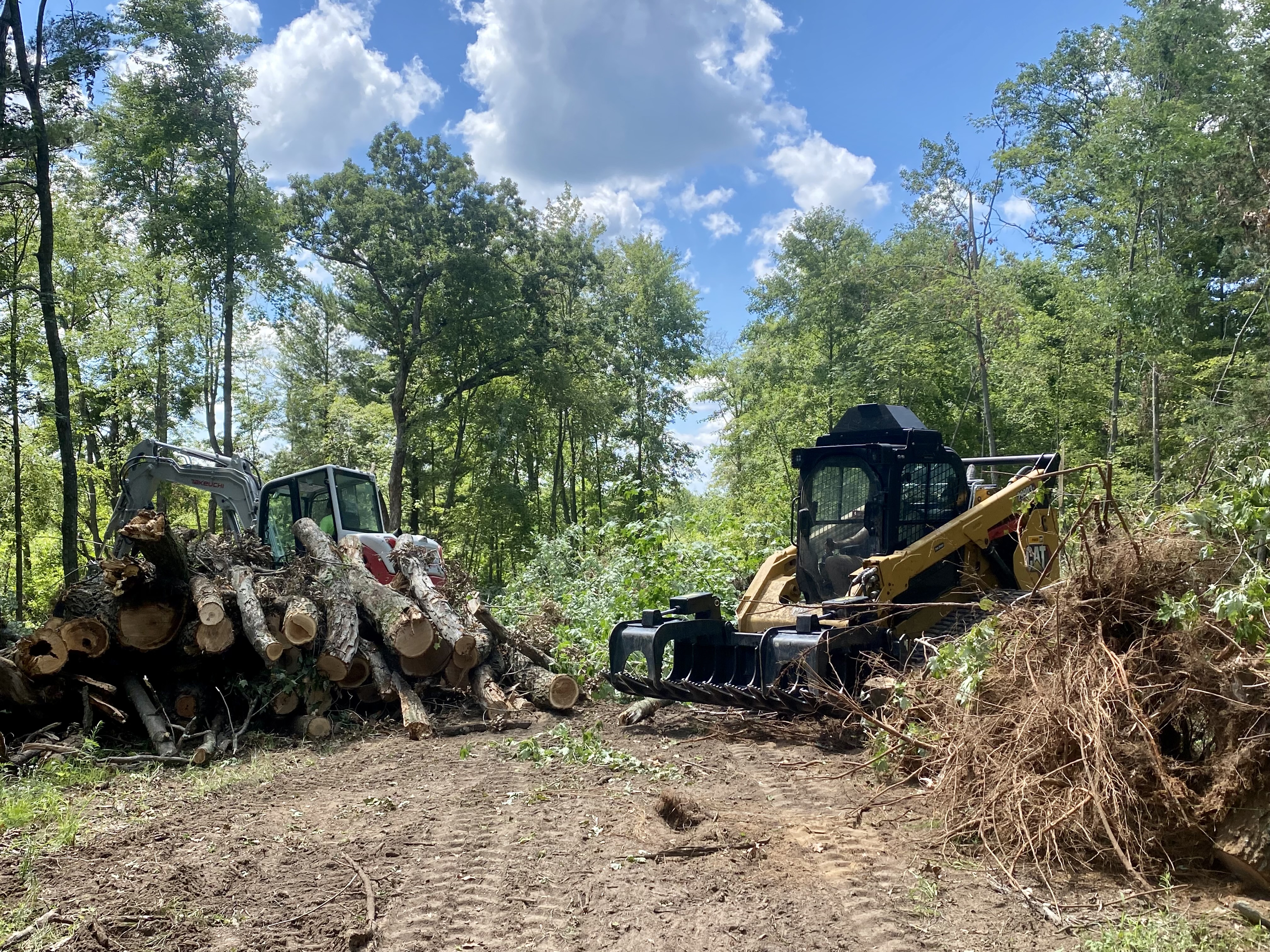 Tree service and land clearing equipment on site
