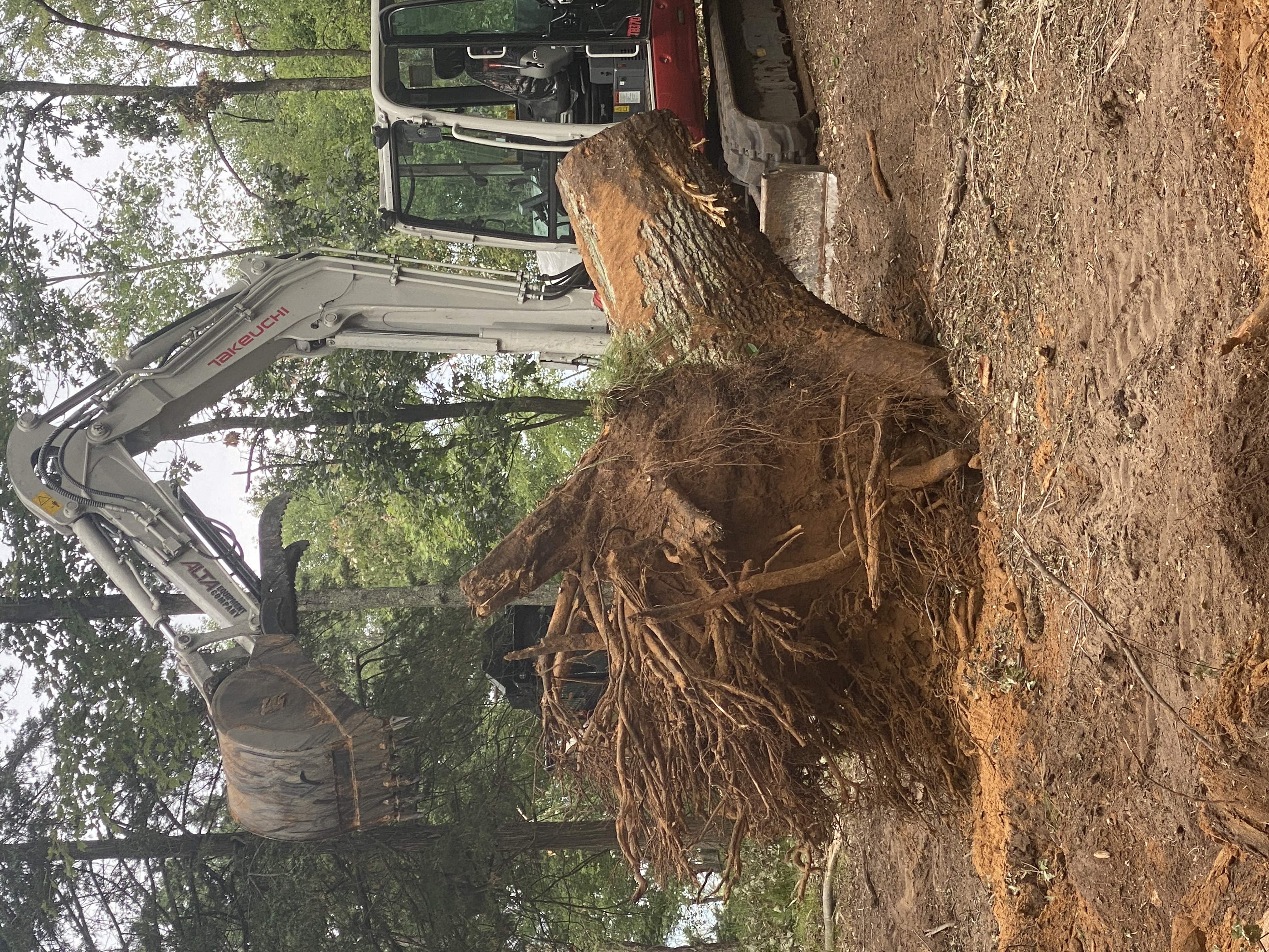 Heavy equipment removing a large stump during site clearing