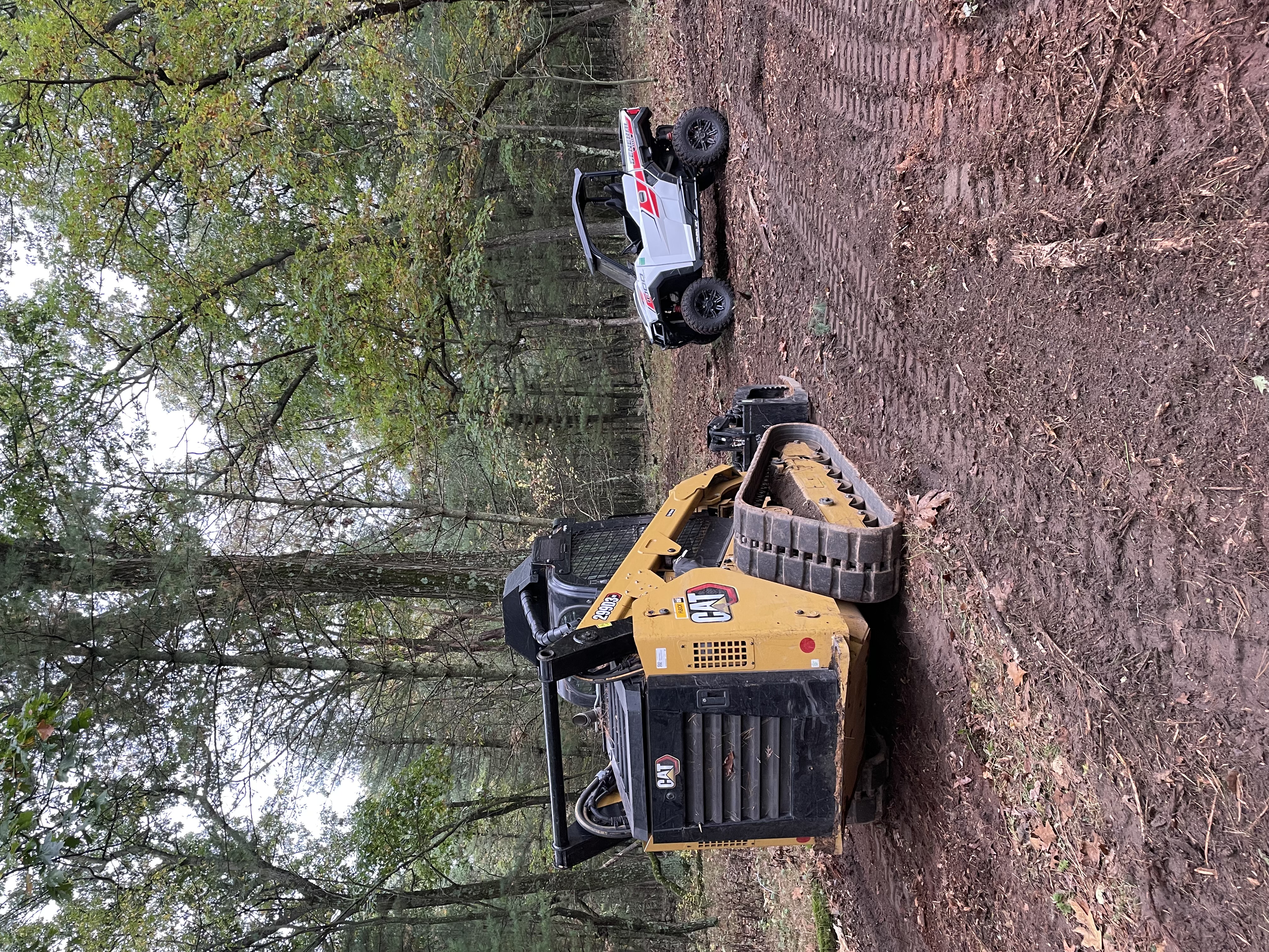 Compact track loader on a forest property