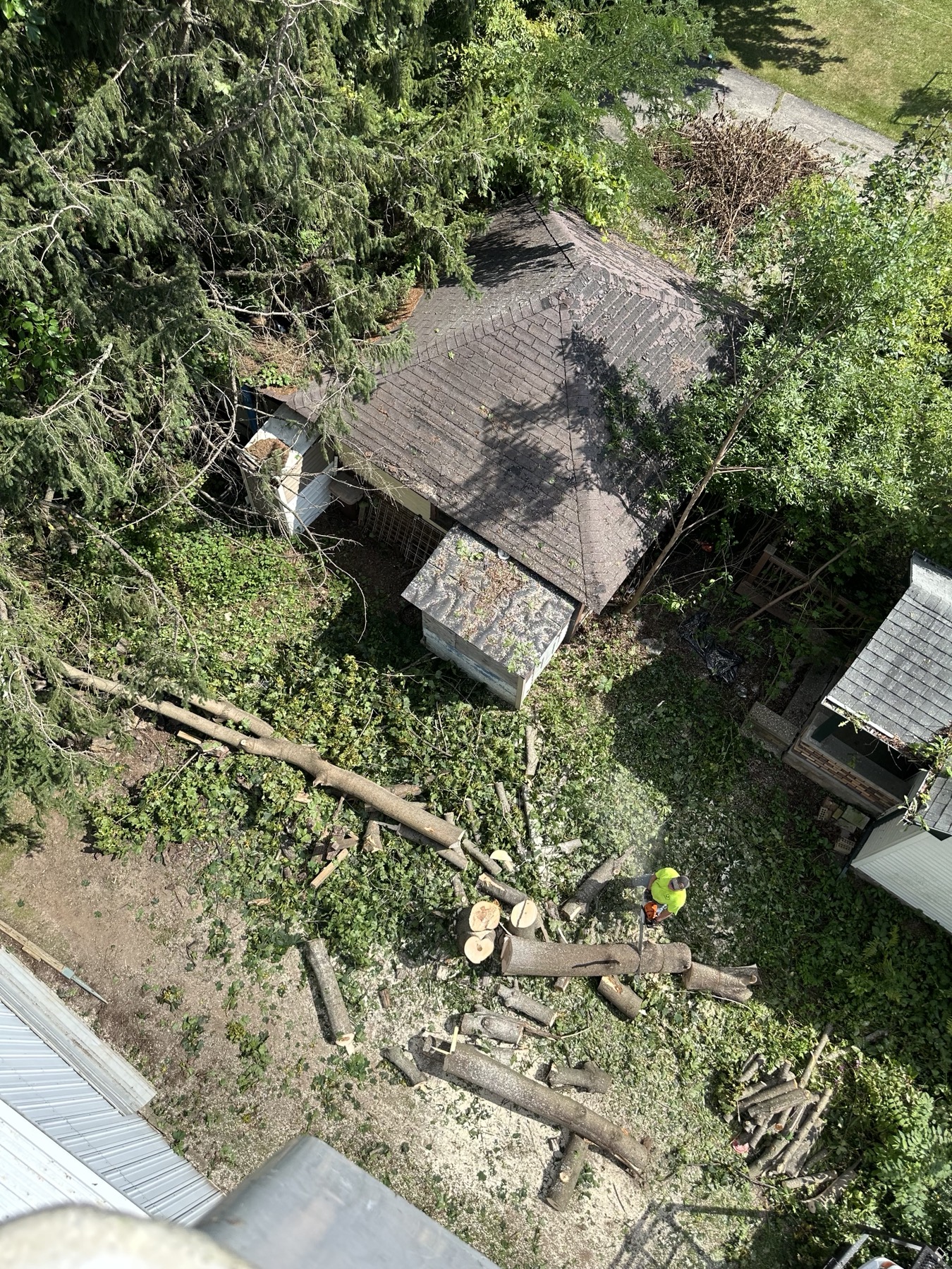 Tree work cleanup from an elevated view