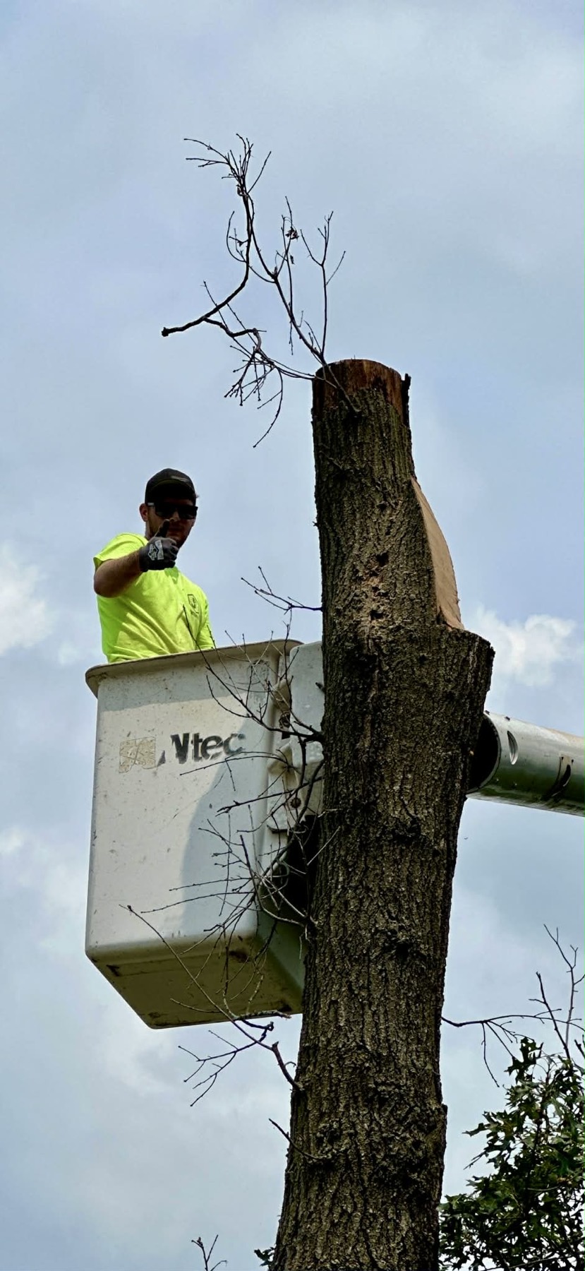Joey working from a bucket truck during tree removal