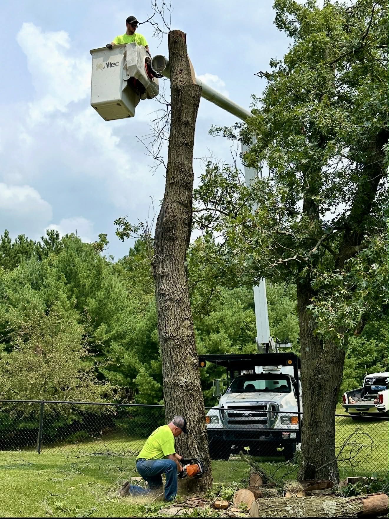 Joe and Joey removing a tree with a bucket truck