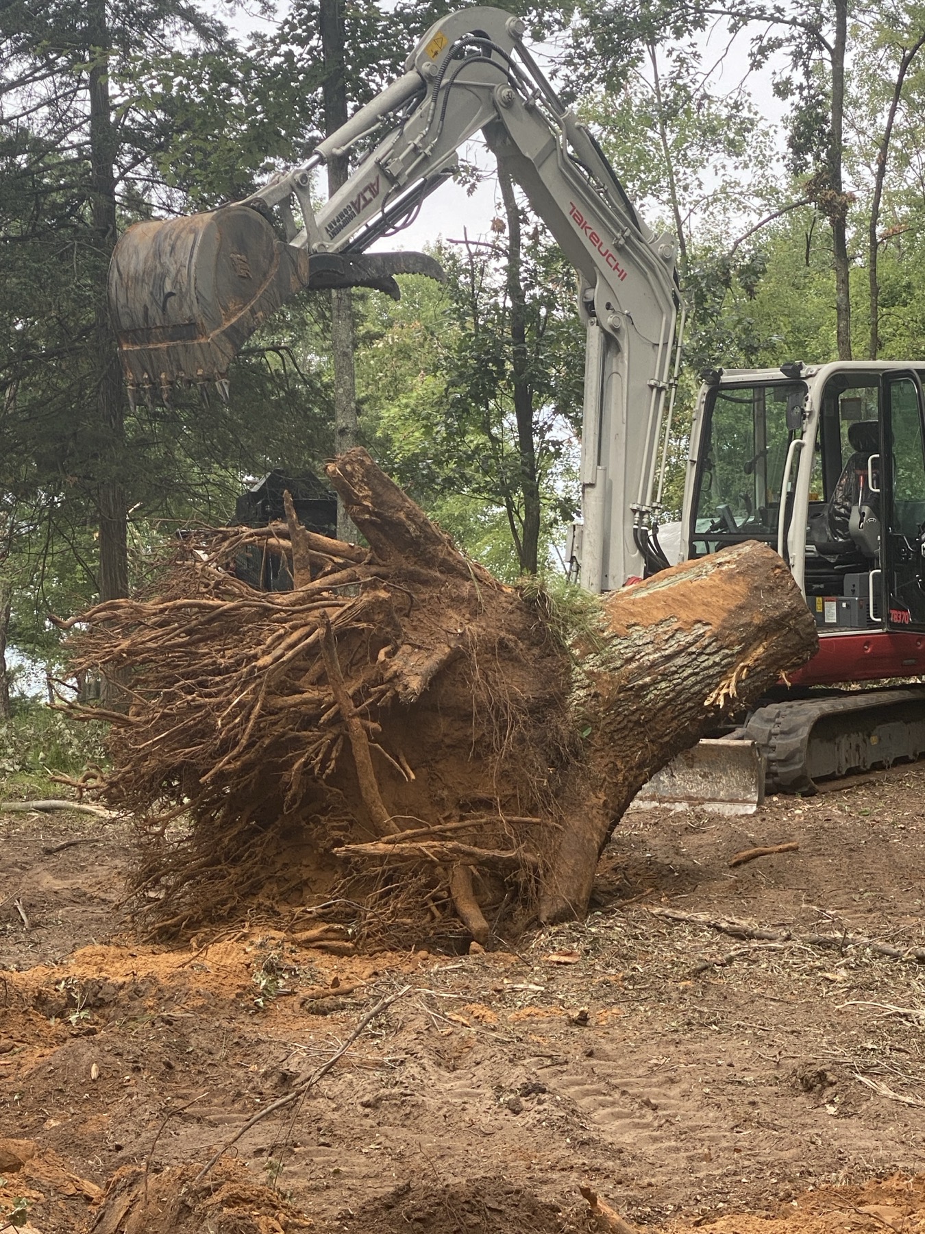 Heavy equipment removing a large stump during site clearing