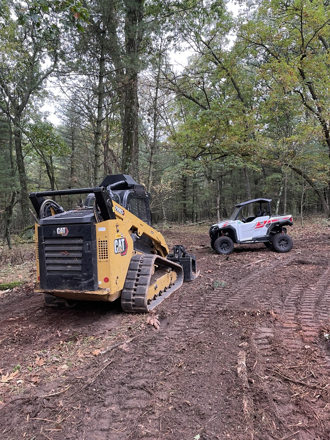 Compact track loader on a forest property